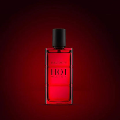 DAVIDOFF Hot Water EDT 100ml